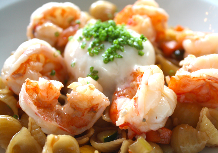 Sea Shell Salad Sea Shell Salad picture