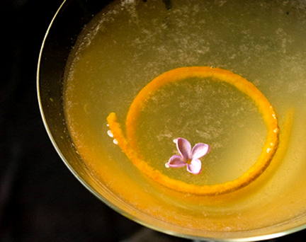Sensation Cocktail Sensation Cocktail picture