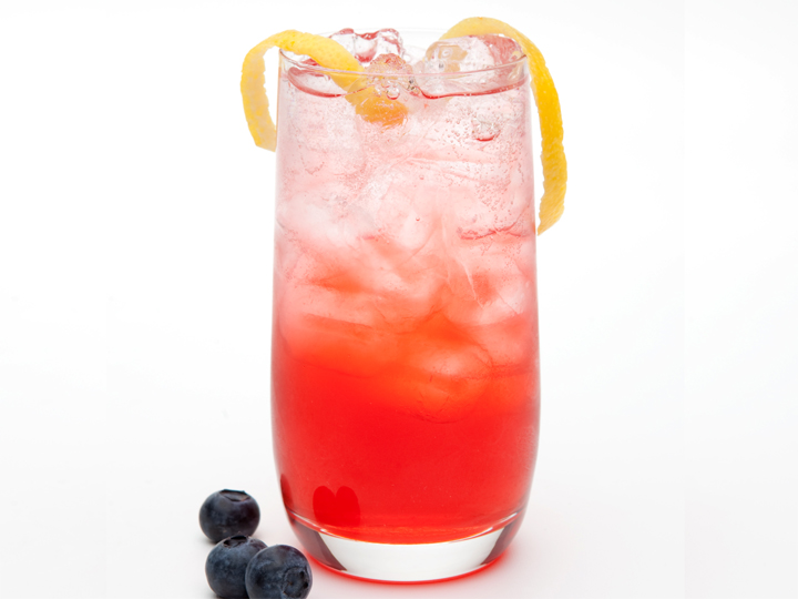 Sloe Gin Sloe Gin picture