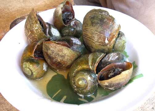 Snails in Bordelaise Sauce Snails in Bordelaise Sauce picture