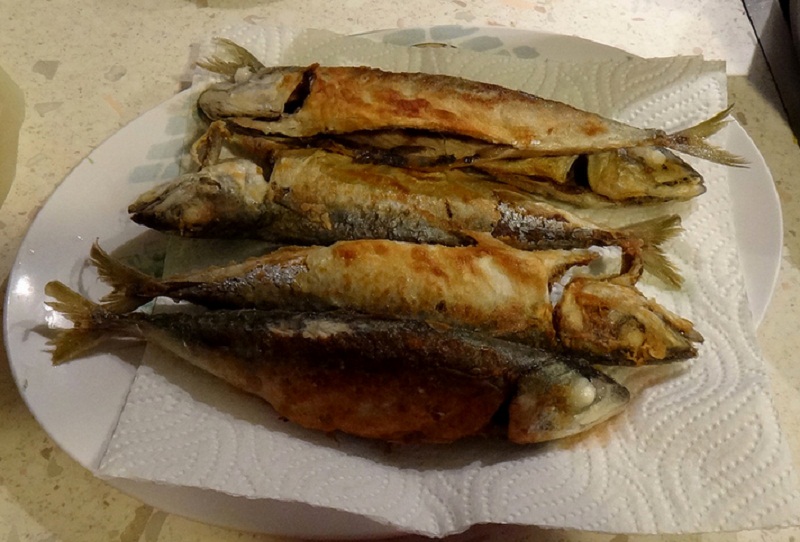 Speckled Trout Speckled Trout picture
