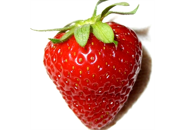 Strawberry Snow Strawberry Snow picture