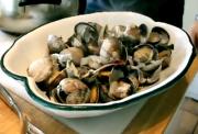 Steamed Manila Clams