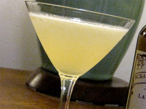 Sweet And Dry Gin Sweet And Dry Gin picture