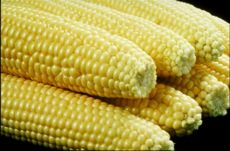Roasted corn on the cob Roasted corn on the cob picture
