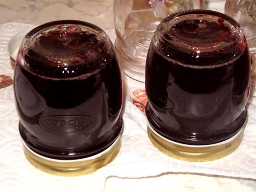 Tarragon-Wine Jelly Tarragon-Wine Jelly picture