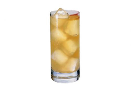 Tequila Sorbet Tequila Sorbet picture