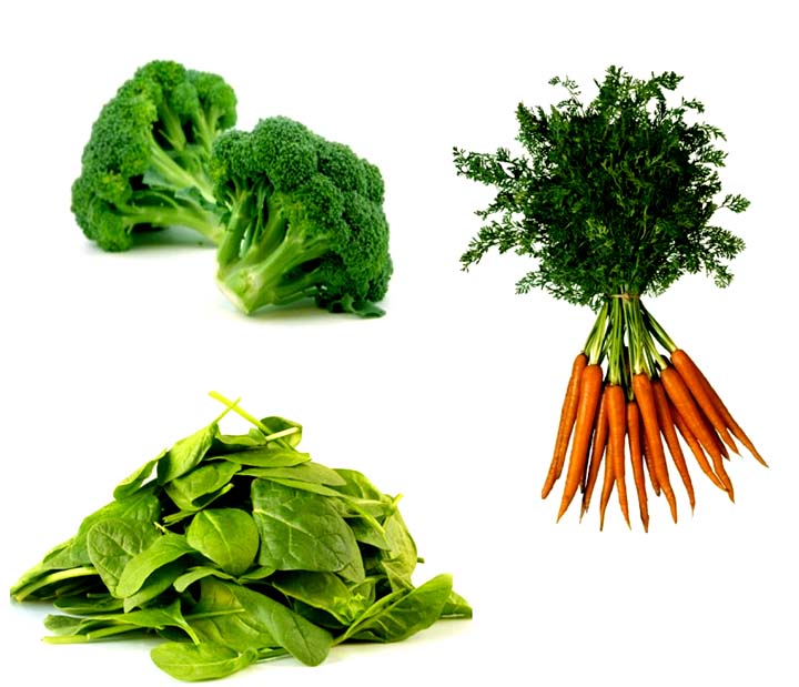 Broccoli, Carrot, And Spinach Timbales Broccoli, Carrot, And Spinach Timbales picture