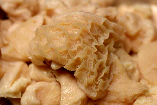 Tripe Momay Tripe Momay picture