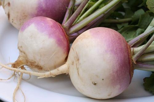 Buttery Grated Turnips Buttery Grated Turnips picture