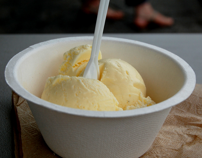 Vanilla Ice Cream Vanilla Ice Cream picture
