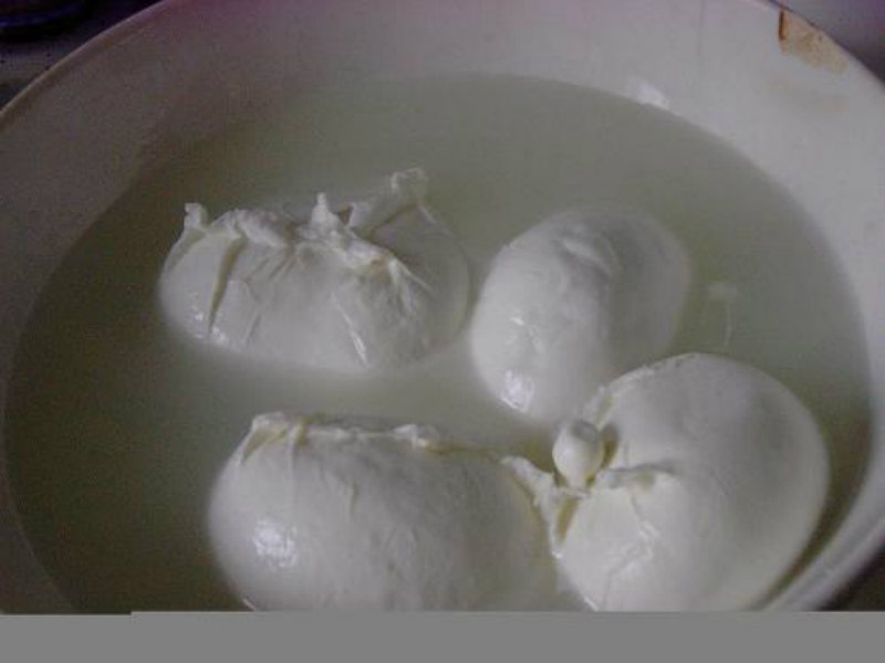 White Cheese White Cheese picture