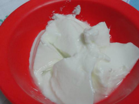 Home Made Yogurt Home Made Yogurt picture