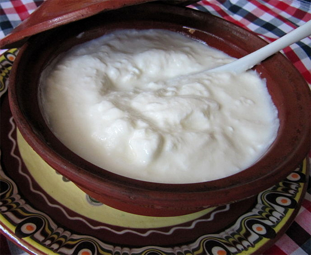 Yogurt Yogurt picture