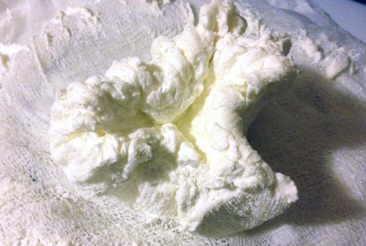 Yogurt Cheese And Dips Yogurt Cheese And Dips picture